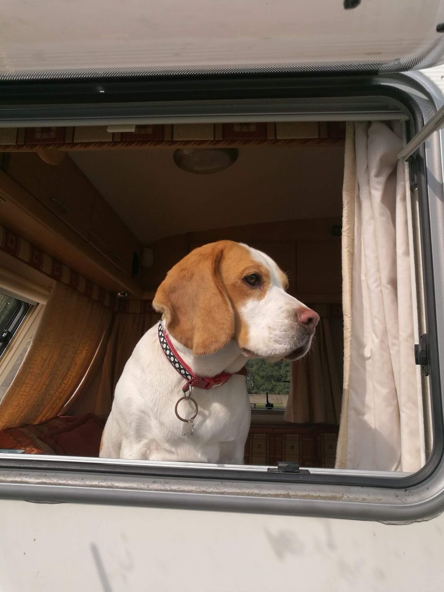 Mu Robinson tweet media