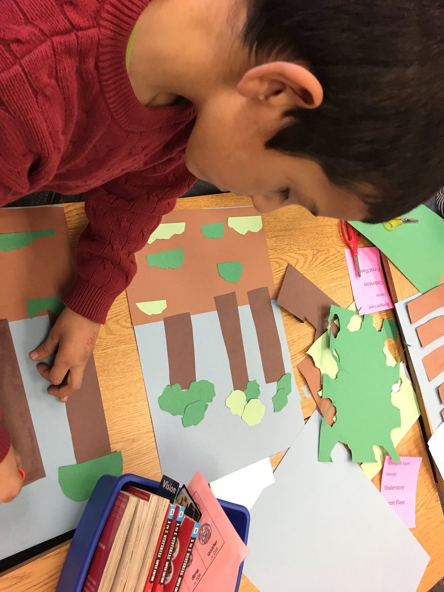 MrsReilly2WR's tweet photo. Learning about the different #rainforestlayers today motivated us to write Rainforest animal reports next week! #inquiry #research #expositorytext @WitterRanchElem @NatomasUSD @McGrawHillK12 https://t.co/Cv8q13ARcQ