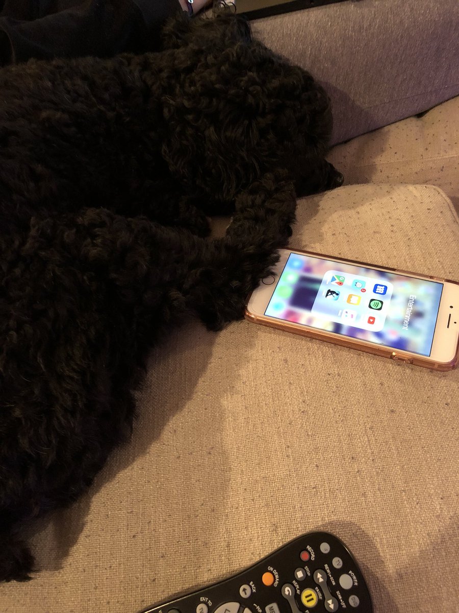 jonathan_stokoe's tweet photo. @MarisaKacary @flamingo0627 Millenials these days.....always glued to their phones. #technodog https://t.co/yz8jTaKWuZ