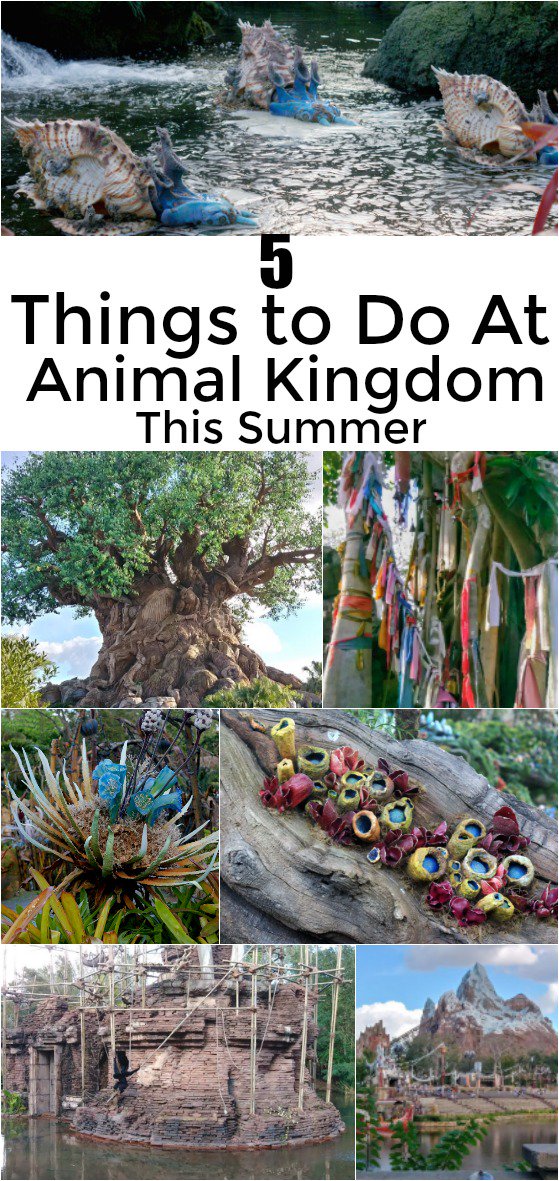 MTHomeschoolMom's tweet photo. @thecreativesahm I actually touched on this a bit on the blog. You can read more here: https://t.co/uwHFwtLkvW  #VisitPandora #WDWEventChat https://t.co/qZn38aURWk