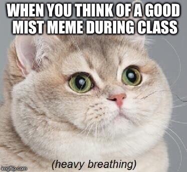 GrizzliesMist's tweet photo. @MISTToronto #MISTMemeTO18 #GLAMIST2018 https://t.co/aSSod8WzCL