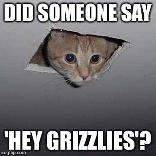 GrizzliesMist's tweet photo. @MISTToronto #MISTMemeTO18 #GLAMIST2018 https://t.co/5I3KM765lU
