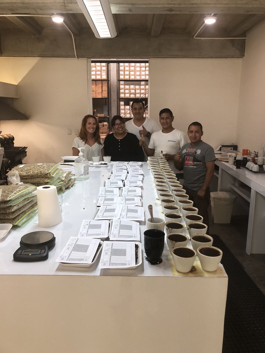 CoffeeLabNZ's tweet image. Awesome day Cupping @ Tg Lab in Guatemala 🇬🇹☕️🇬🇹