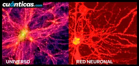 expresomedia's tweet photo. Lee esto si te falta energia.

"Las celulas de los seres humanos y las neuronas comparten la misma estructura que las estrellas de neutrones.Esto significa que las células tienen el mismo potencial  que la explosión de una estrella gigante supermasiva."
Investigacion CIA/FBI https://t.co/HWm6eHoxTk