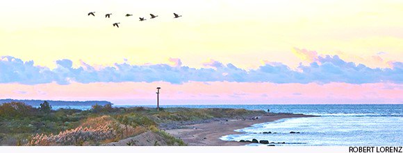 SavePlumIsland's tweet photo. You can help save Plum Island! Tell @NYGovCuomo he should use his powers to protect and preserve Plum Island by filling out this easy form today https://t.co/fWNDXTmptq.
See more at https://t.co/rhMI1vuHTn. https://t.co/A9C8rWct7U