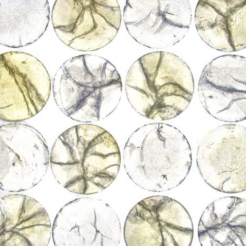 deco_material's tweet image. #factorymachine Every manufactured 'thing,' from Guangzhou Deco Deco Material Co.,Ltd are expected to be programmable, responsive and connected. http://decodecoresinpanel.comeco resin panel Shell#translucent interior wall panels