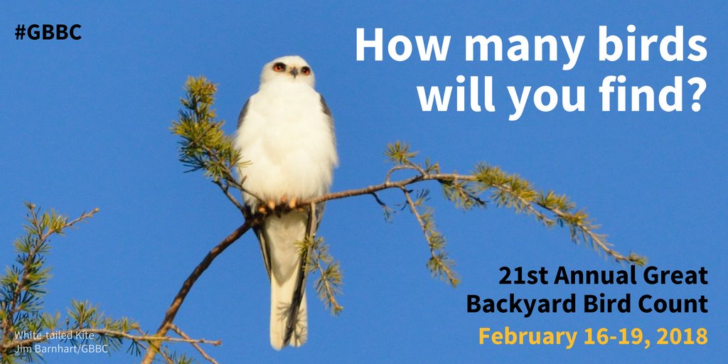 Audubon Society On Twitter The Great Backyard Bird Count Starts