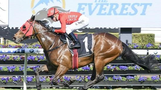 SENSportsday's tweet image. Hot pot Redzel all systems go for Black Caviar!

Read more ➡️ bit.ly/2C12hGx 

@TripleCrownSynd @SnowdenRacing1 #Redzel #Flemington #BlackCaviar