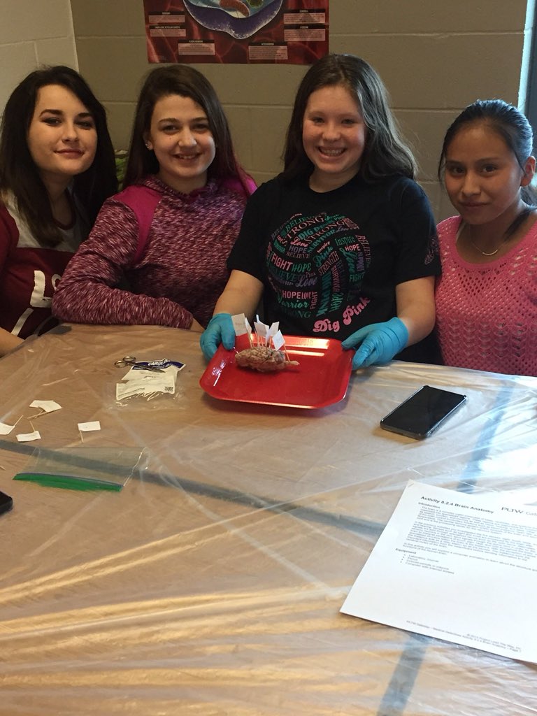 hannerpj's tweet photo. Mrs. Pipkinās PLTW Enrichment class dissected sheep brains! #KABMS @FredtownHS #LeadLAP https://t.co/tutF1GZg41