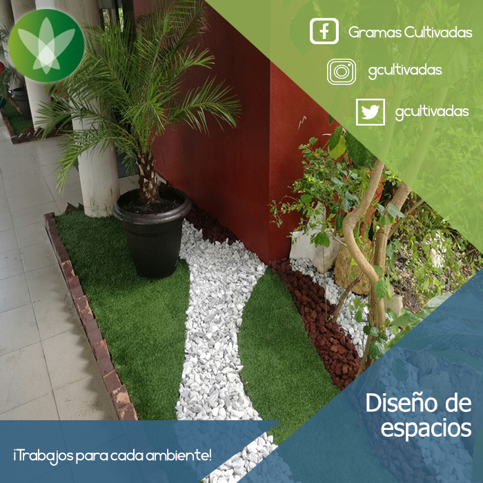 GCultivadas's tweet photo. ¡Recibir el verano con un espacio ideal para disfrutar cada día! Esto puede ser una realidad gracias al trabajo en equipo que podemos realizar por los ambientes de nuestro país 🇵🇦☀
¡Esperamos su contacto! 📞Teléfonos📞: 60904961 o 62 - 3926102 o 03📍 https://t.co/qOz6n8FvR5