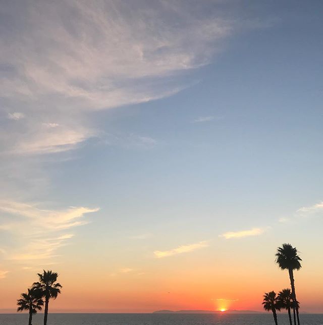 SaltPepperTees's tweet photo. Sunset behind Catalina tonight👌🏼#californialove #sunset #catalina #palmtrees #beach #saltandpeppersupply via Instagram: https://t.co/zgjWDcCcKg https://t.co/F9wwKHTeTc