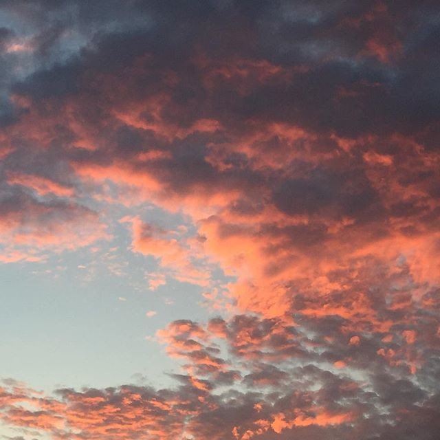 truthbriantruth's tweet photo. Reposting @cloudy_moments: - via @Crowdfire
#valentinesday #sunrise #happy #wanderlust #cloudymoments
#travel #happy #happysmiles #single #travel #instahappy #instatravel #instasmiles #like4like #likeforlike #like #follow #instagood #international #life #mylife #whotofollow https://t.co/NfHLZtFmvT