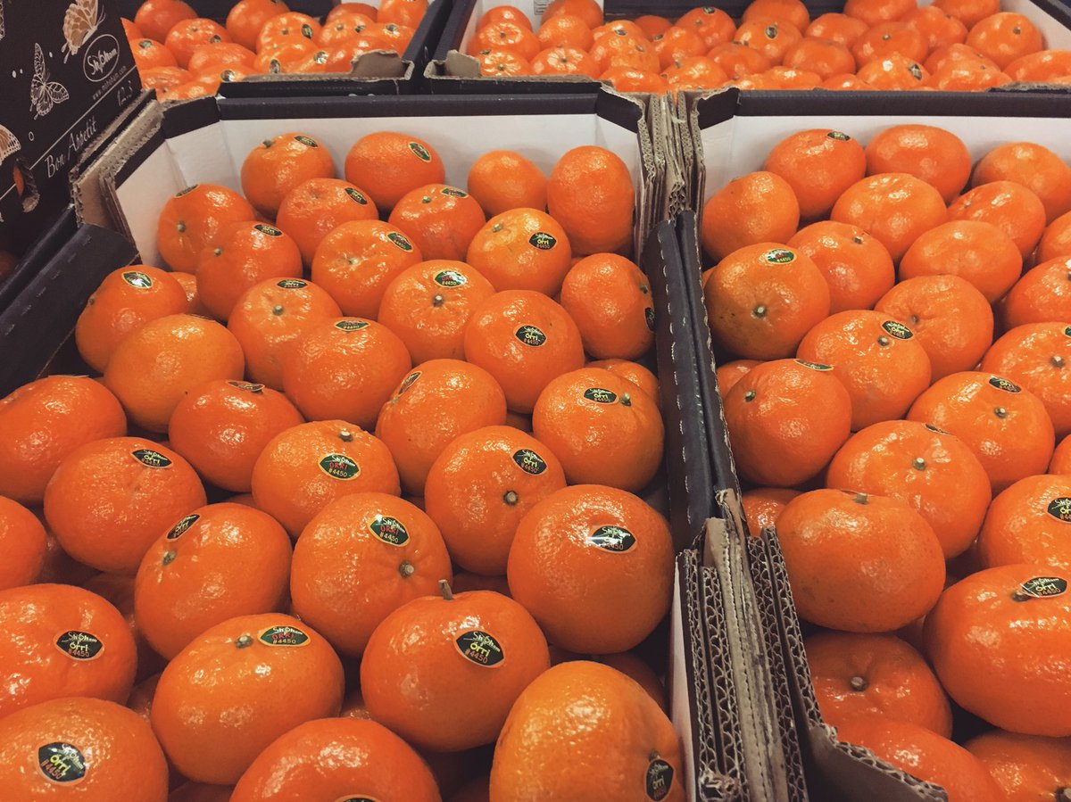 Global Fresh Trade tweet media