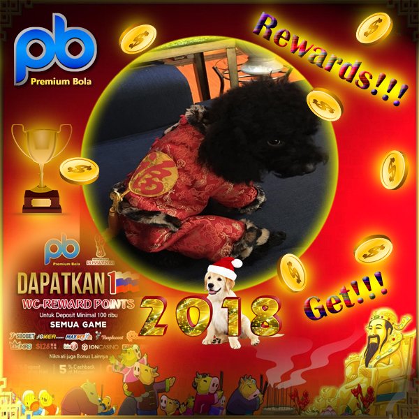 Premiumbola77's tweet photo. @premiumbola Mengucapkan "GONG XI FAT CHAI" semoga sehat selalu &amp; lancar rezeki utk para member setia kami dan semuanya!
Ayo kumpulkan point events wc rewards di agen kami!
Add whatsapp : +855-718-861-515.
#judi #judionline #RewardsPoints #Imlek #sexy #cantik #indonesia #jackpot https://t.co/CXMfnl2z6B
