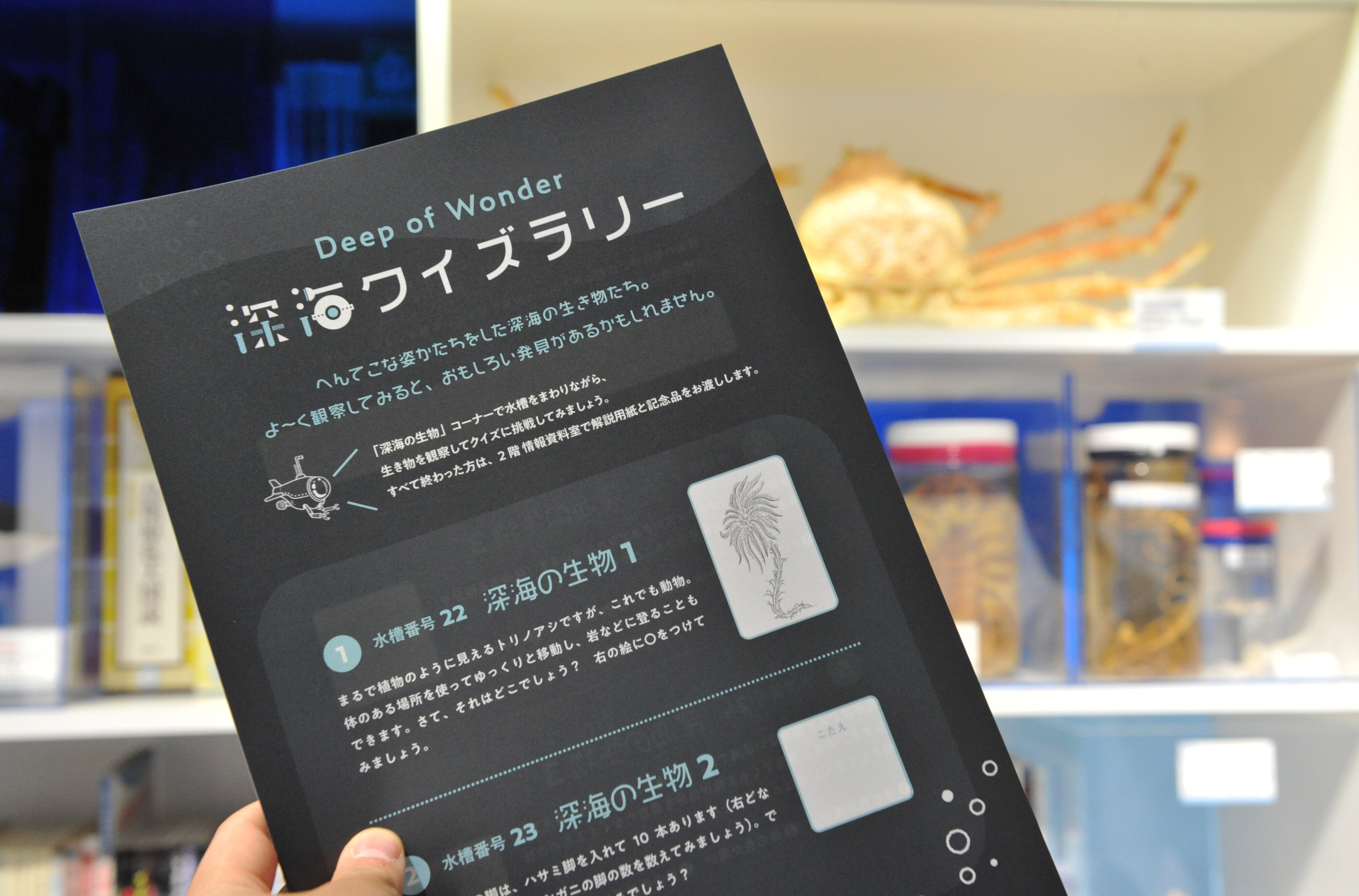 葛西臨海水族園 公式 Al Twitter 平日限定の 深海クイズラリー ご好評につき開催期間を延長します 問題用紙が無くなり次第終了するので ぜひお早めにご参加ください 詳しくはこちら T Co Qhe9oz8oyl T Co Vik2vaguge Twitter