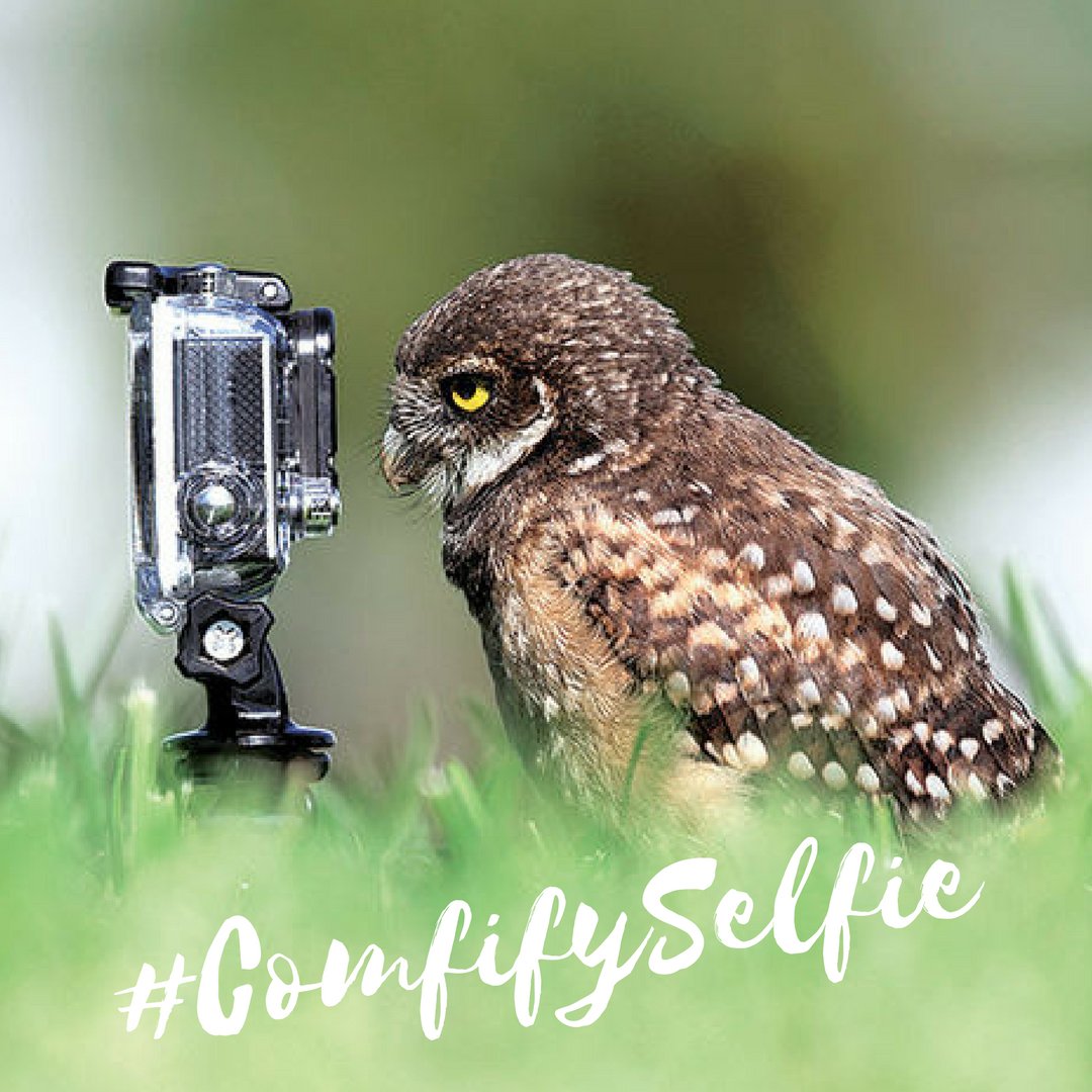 MyWellnessQuest's tweet photo. Manuela and Lisa T, are you still doing Pilates? Show your love by sharing a photo with #ComfifySelfie on Facebook, Twitter or Instagram and enter the contest to win $100 or to receive instant coupons https://t.co/cl626ByBhi #Comfification #EnterToWin #Giveaway #ComfifyTribe https://t.co/044NZ2570I