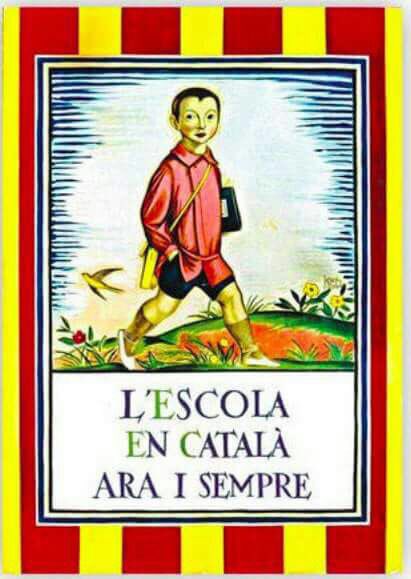 sara Fullera🎗 tweet media