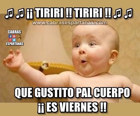 encarny_2016's tweet photo. @charli505 @peixoto_cecilia @C_LaPantomima @evamariaa1970 @antoniabustaso1 @RaquelSC65 Buenos días grupito feliz día 😂😂 https://t.co/0YnwZoFE2p