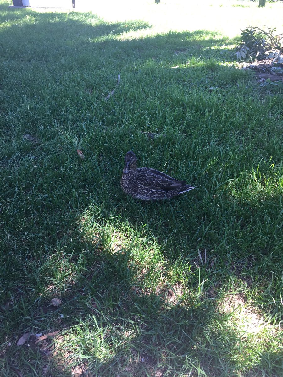 First couple of days in New Zealand 🇳🇿