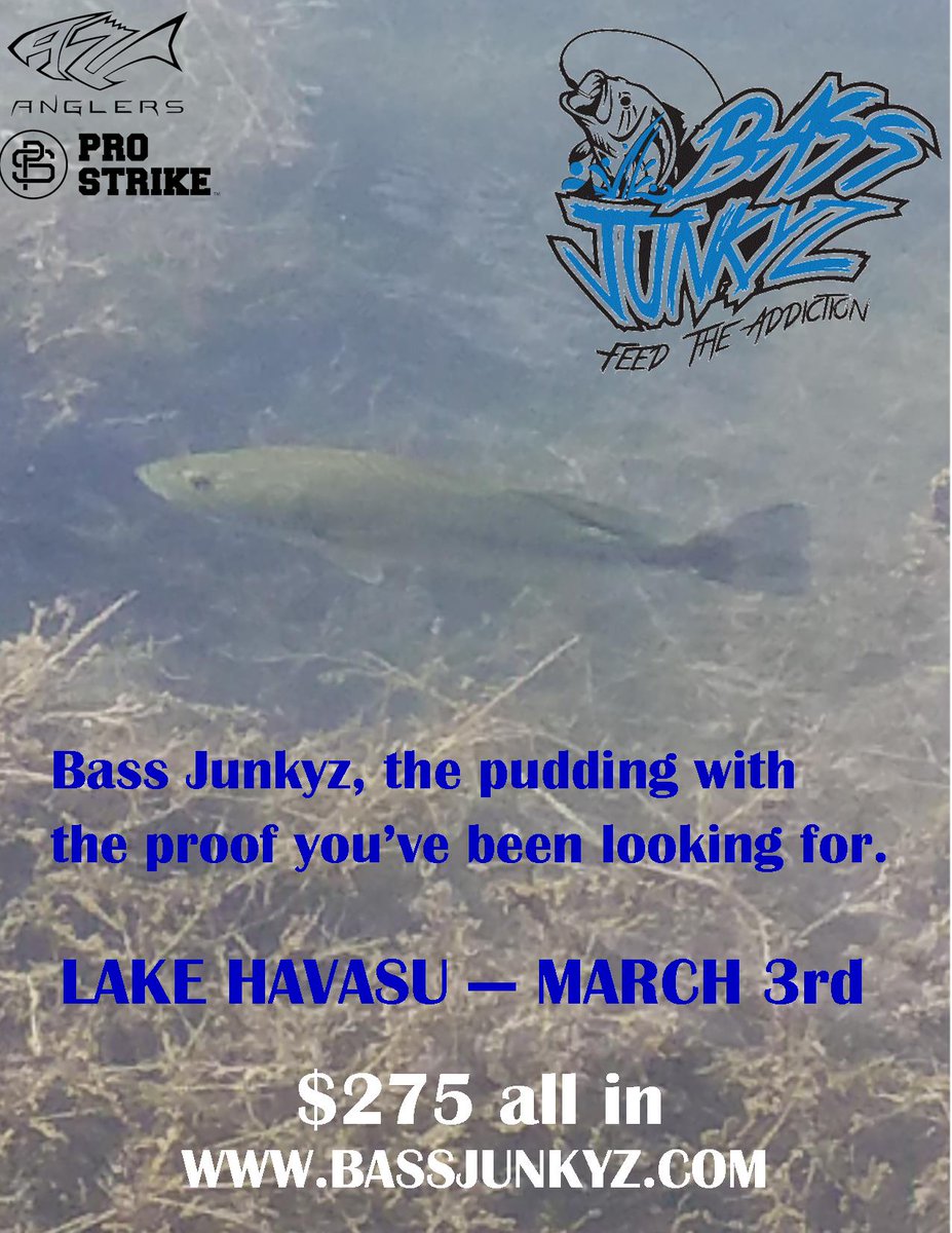 BassJunkyz's tweet photo. Bass Junkyz is headed to Lake Havasu March 3rd. @BassJunkyz, the pudding with the proof you've been looking for. #CenturyMarine #ProStrike #CanyonCoolers #Costa #AmpUpholstery #Taipan #Rejuvenade #NapierOutdoors #InyatiBedliners #FostersRusticFurniture #VooDoo #BassCatBoats https://t.co/Qe6O8IbtXG