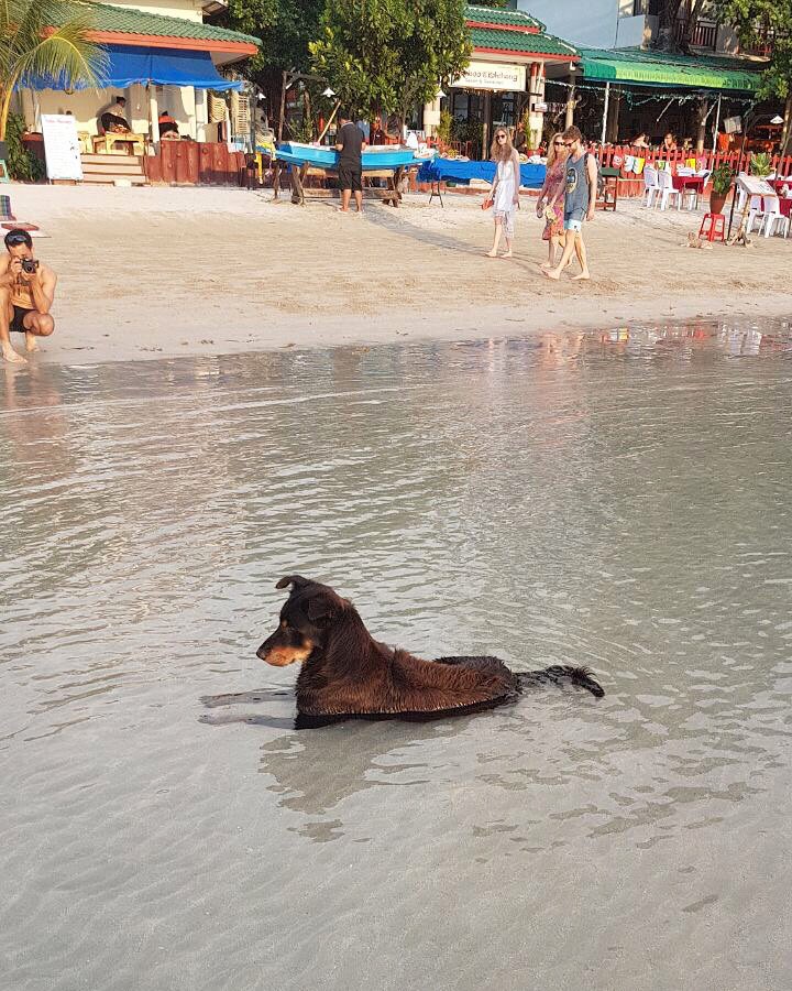 Доброе утро✌️😉✈️☀️🌊🌴⛱
#доброеутро #gm #goodmorning #kohchang