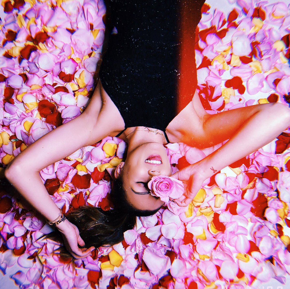 lauren *∘✩. tweet media