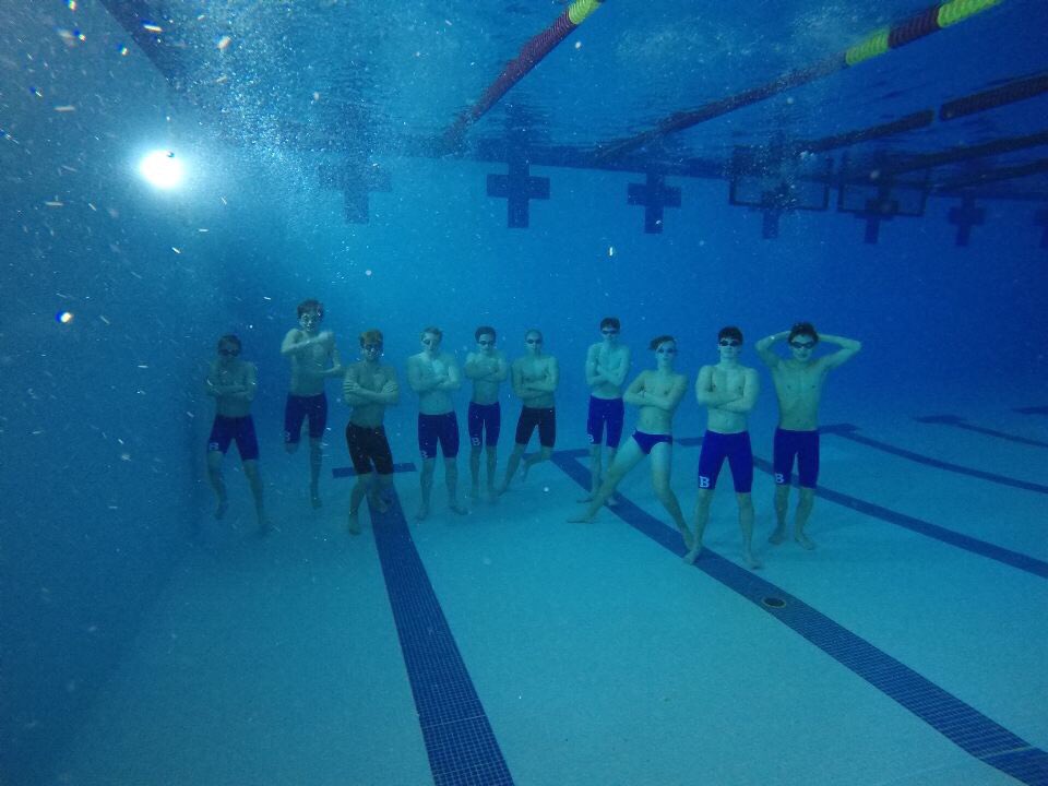 Bexley Swim tweet media