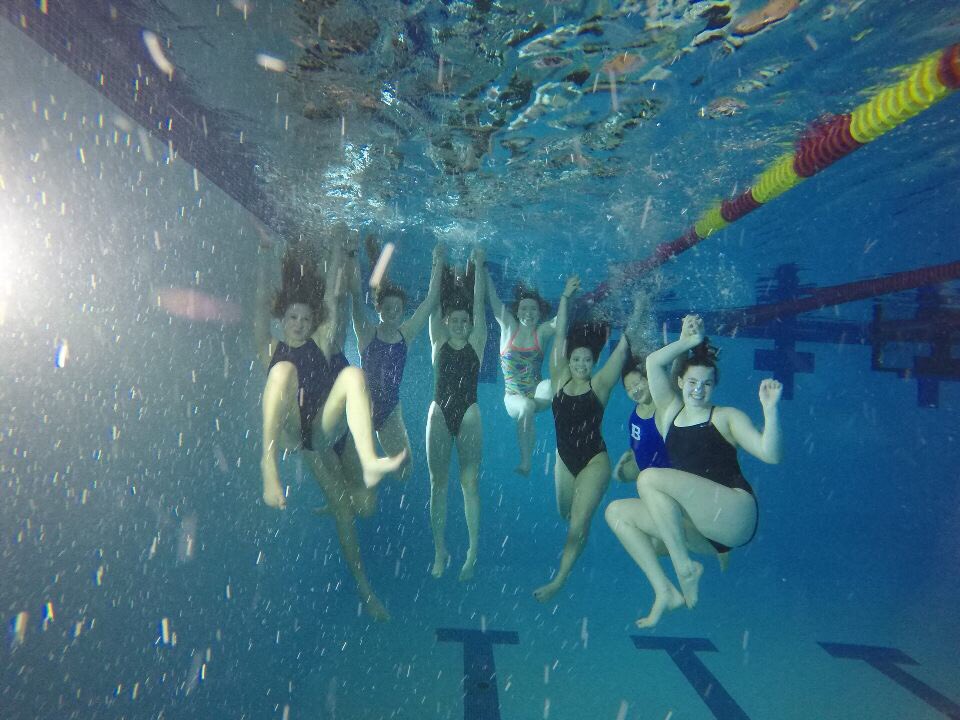 Bexley Swim tweet media