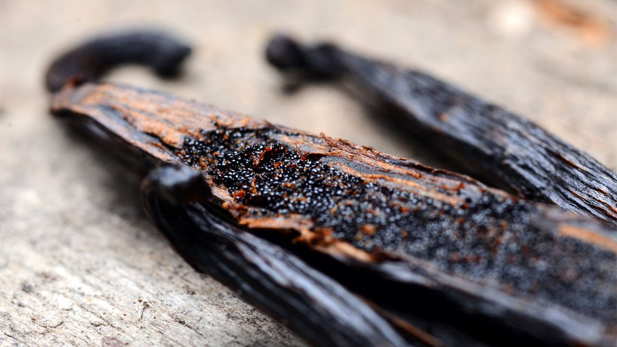 WHIFFINC's tweet photo. When it comes to perfumes, it’s no wonder why Vanilla fragrances are among the top worn by perfume lovers around the world with its cozy warm and sweet aromas. What's YOUR favorite Vanilla Inspired Perfume? #VanillaPerfume #vanilla #VanilleFatale #Whiff https://t.co/xjqboleRhQ