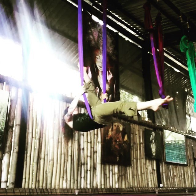 subZEROfestival's tweet photo. #rp @domini_anne

The only thing that separates the muscles of your body is a scalpel #aerialflow #aerialyoga #aeriallove #myspirallife #psoas #danyasa #staywild #jessiraeyoga #danceswithmachines #dowhatyoulove #yoga #yogaeverydamnday #psoas #mindfulmove… https://t.co/3zCwmPQwv6 https://t.co/B9g6giDdvA