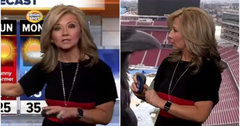 viralnewplexus's tweet photo. What Photobombed This Meteorologist During A Broadcast Is Just Too Funny https://t.co/SuhjBCdvwB https://t.co/8aYO6Qir45