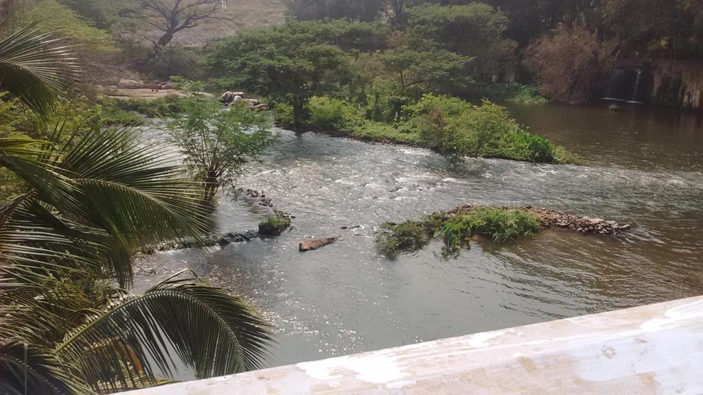 Parthibankrish7's tweet image. Divine