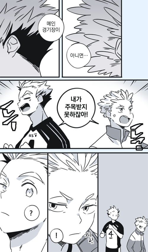 관종 부엉이와 관종 갈매기 