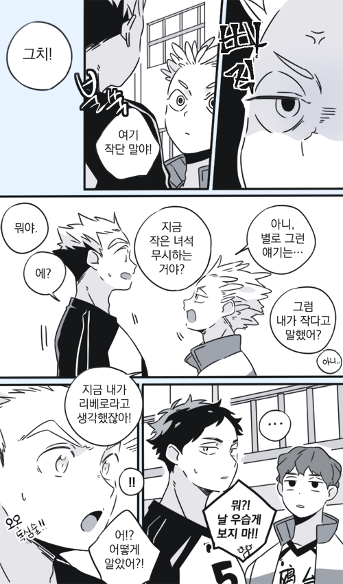 관종 부엉이와 관종 갈매기 