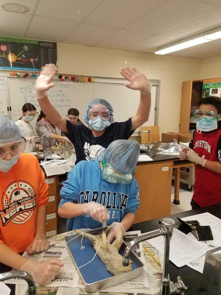 DelaneySkandal's tweet photo. Enjoying the #fetalpigdissection !
@SCSD_GMS https://t.co/sUADtAbFyI
