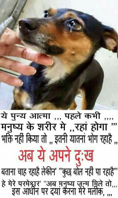 Bhagattejramda4's tweet image. #ParalysisToProsperity
इतनी भक्ति करते हुए भी मनुष्य जीवन भर दुखी रहता है? कहीं हमारी साधना शास्त्रविरूद्ध तो नही है? आखिर क्या है पूरा सच???
जानने के लिए अभी डाउनलोड़ करे पुस्तक इस लिंक से-👇👇👇👇👇👇
अवश्य देखिए श्रद्धा चैनल दोपहर 2:10 से 3:10 तक 
@PMOIndia 
@juniorbachchan