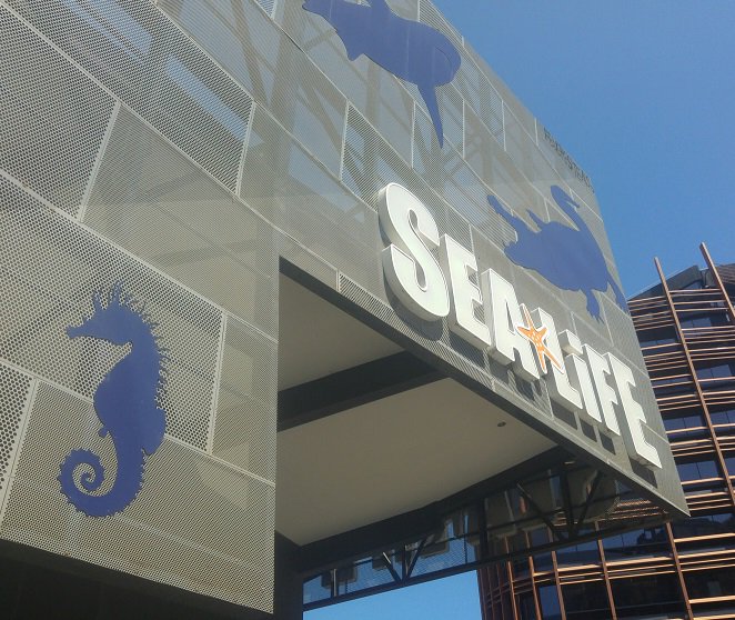 BomacAltrac's tweet photo. Good morning sharks! Spent the day installing an #Altrac monorail and #Dukebatteryhoist at the @melbaquarium for lifting and moving stingrays. Not a bad sort of job for a Friday! 😀🦈 https://t.co/RhXLoPzKFf