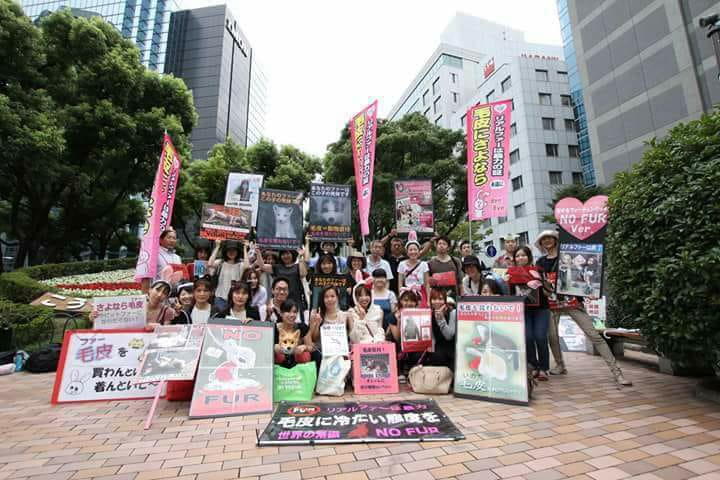 dolphinangels1's tweet photo. 毛皮にさよなら！キャンペーン@神戸三宮
2018年2月25日(日)    13:00 ~ 15:00
こうべ花時計
中央区加納町６丁目５番１号, Kobe-shi, Hyogo, Japan
#アニマルライツ神戸
https://t.co/DnF7SAnrZA
#アニマルライツ  #神戸  #動物 
#神戸  #東京  #大阪  #京都 #渋谷 https://t.co/WfLOC3Au06