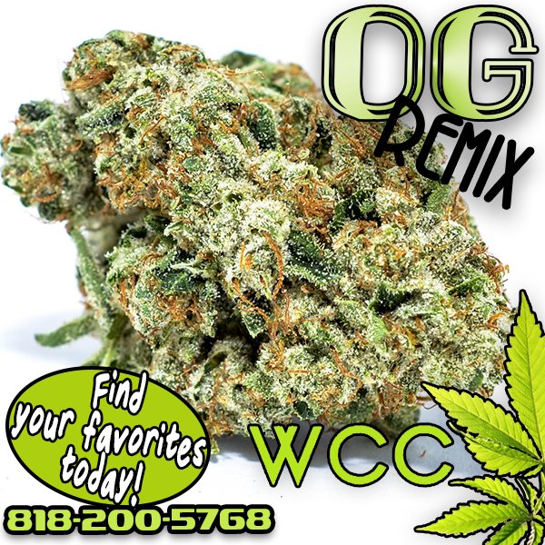 UnitedKush's tweet photo. RT WCC25Cap "Check out this dank OG Remix that's now available at Whittier Care Center. 😎🔥
#WhittierCareCenter #MMJ #CannabisCommunity #OGRemix https://t.co/DkKvKlmrbM"
