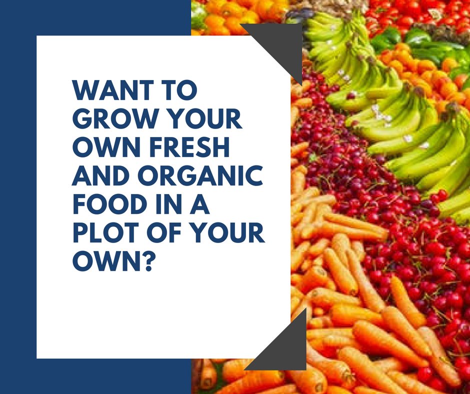 Igbcwaves's tweet photo. Come and learn the natural ways of growing fresh fruits and vegetables on your own at IGBC Waves on 24th February.
@igbcwaves @FollowCII @IGBConline #organicfarming #farming #organicfood #fitness #GoGreenTips #organic https://t.co/nCqrGxHpQ9