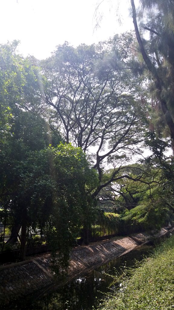 siriin's tweet photo. ธรรมชาติกลางกรุง
#Tonson #Bangkok #Thailand https://t.co/WKIvrOmrJr