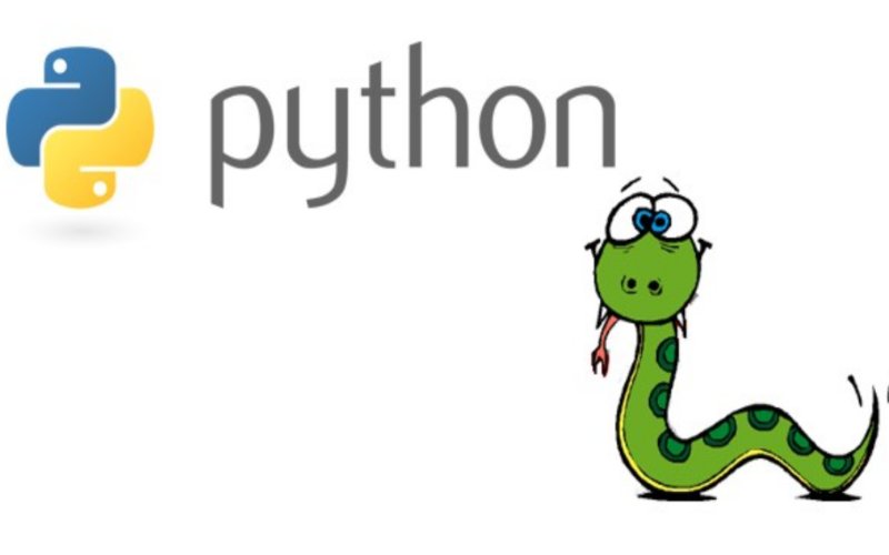 Язык python. Питон язык программирования. Питон язык программирования логотип. Питонтязык программирования. Язык программирования biopython.