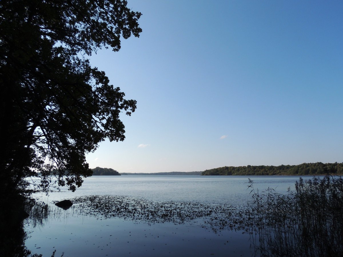 Emma_Blixt's tweet photo. #nature #landscape #landscapes #NaturePhotography #outdoors #forest #forests #naturephoto #naturephotos #landscapephotography #Sweden #Forestry #adventure https://t.co/lLOjBzc8MU