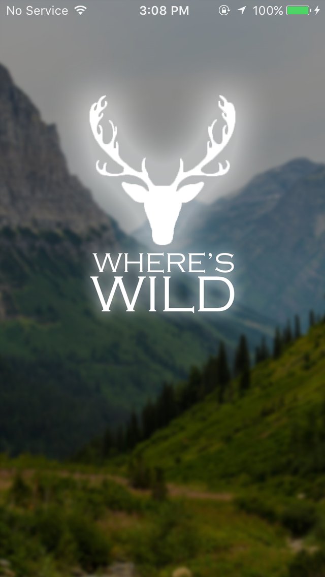wheres_wild's tweet photo. Hello #naturelovers #wildlifephotographers #ecologist #birders & every person who is #naturelover the firs version for our #anroidapp is out for you #download the #application and share your reviews : https://t.co/Sqm7XqXBgi https://t.co/uGg2noRZp6