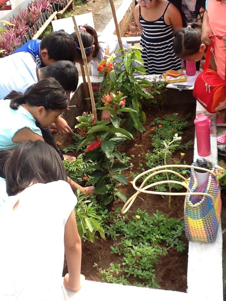 Mr.Merletti tweet media