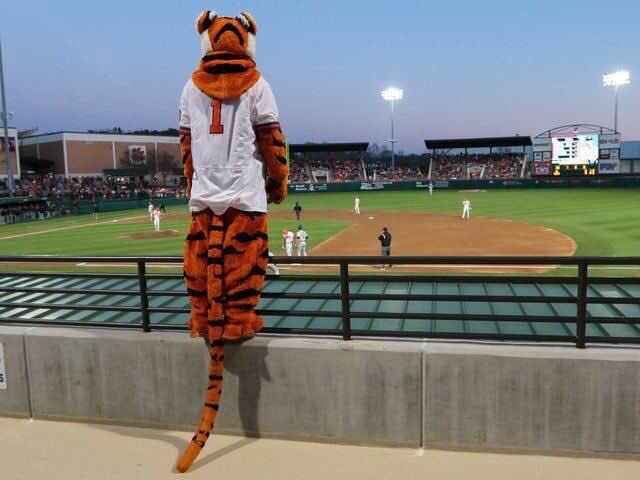 clemsonlady's tweet image. It’s #BaseballTime! Go Tigers!