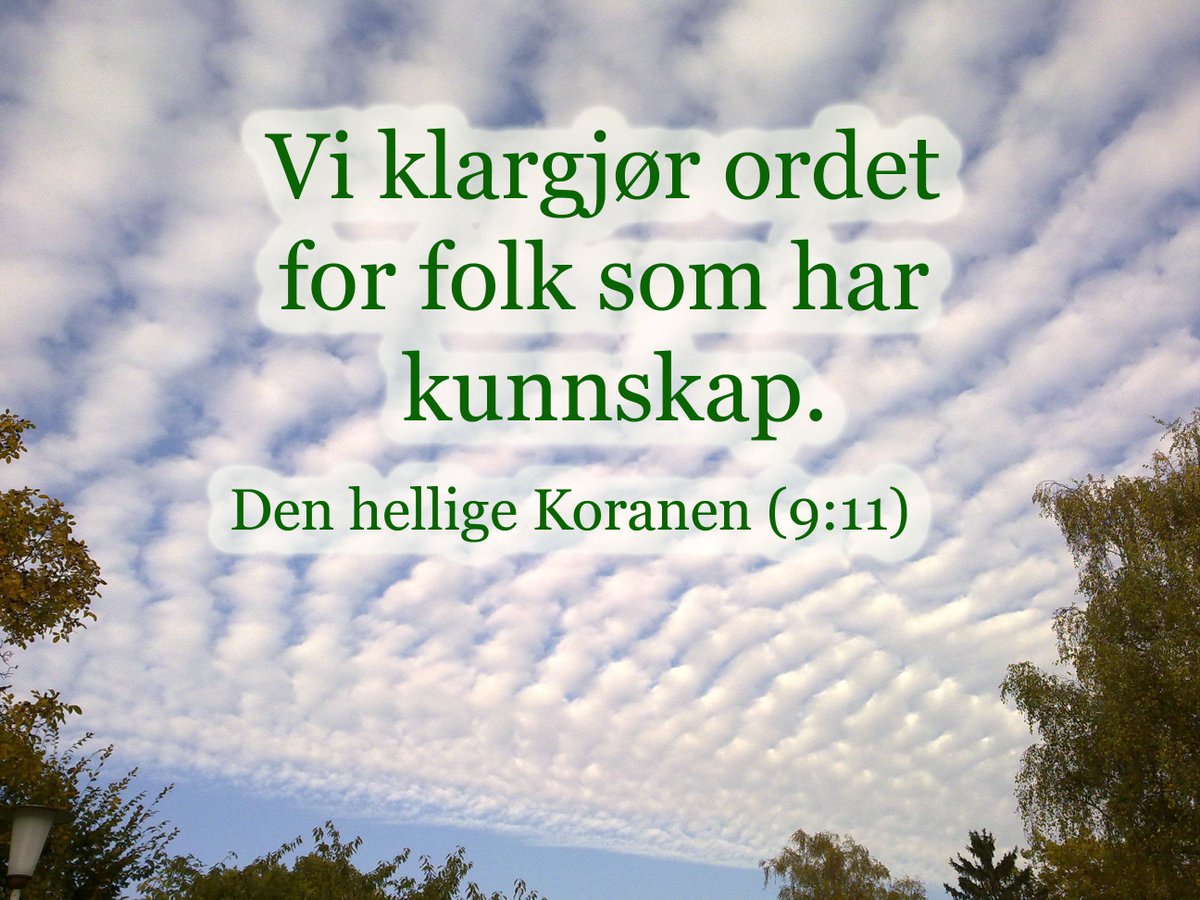 Ayan (@quranchick) on Twitter photo 