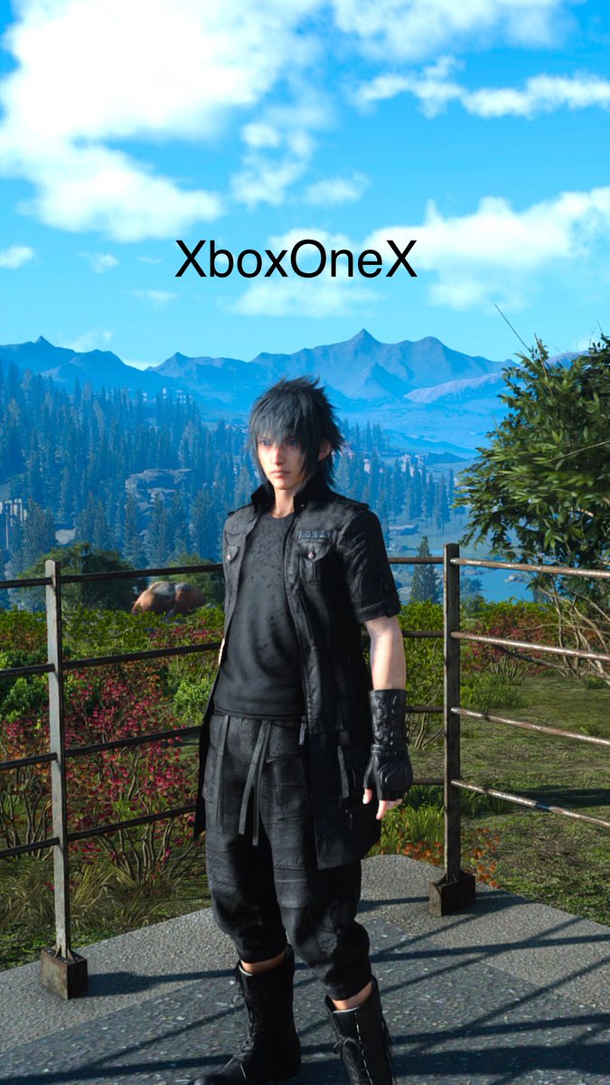 やまわさび Ff15は2機種とも所持しているので 良い機会だから画質比較してみた ほぼ同じ場所でどちらもhdr 高画質モード 4kで保存 Ps4proは画質劣化しないようにusb経由でss移動 分かり易くキャラ拡大表示 Tv画面サイズだと差がハッキリ分かる