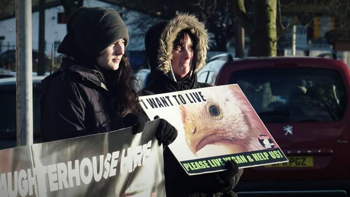 BoltonChickSave's tweet photo. Thank you to everyone who joined our vigil on Monday <3  

The slaughterhouse was closed but we were still able to raise awareness of its exsistence. 

We had lots of support with 3 people offering to buy us coffee and someone saying they would like to join us in the future. :) https://t.co/RMuE452mXt