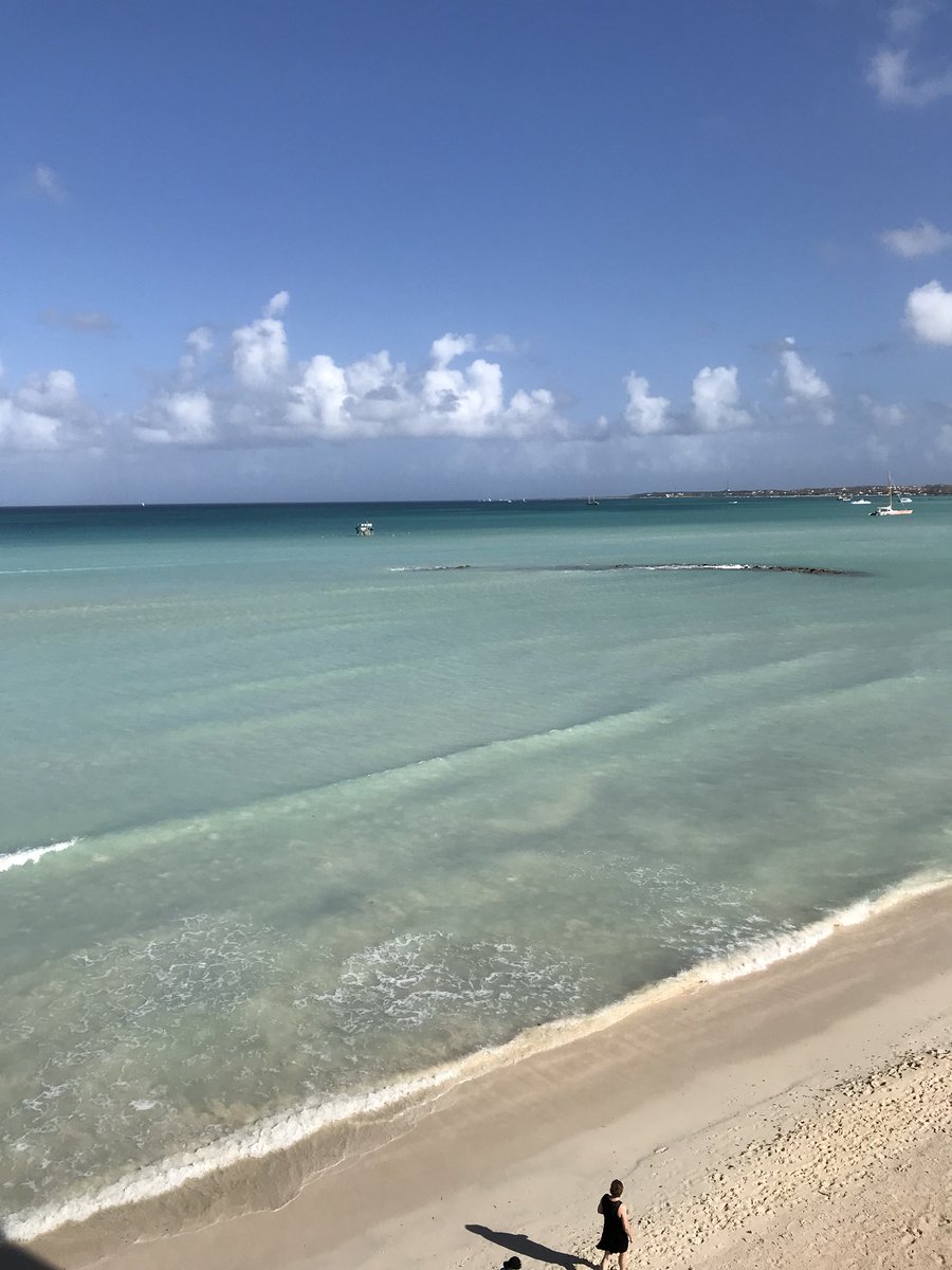 Peter Lanting tweet media